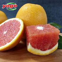 優果優選南非血橙9個裝2.2kg