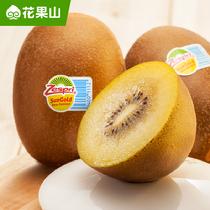 花果山佳沛18號新西蘭陽光金奇異果原箱裝巨無霸175~204g