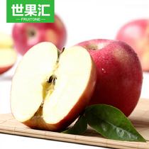 世果匯全國非偏遠美國紅玫瑰蘋果8個單果果重約200至250g
