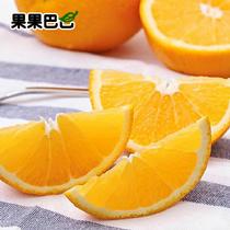 果果巴巴美國甜橙12個(單果均重225g)5斤