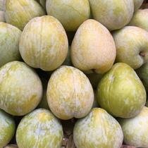 果果巴巴果果巴巴廣東樂昌九峰山黃金奈李單果均重75g5斤2500g