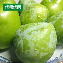 優果優民漳州農家油奈李甜脆可口2300~2500g2500g