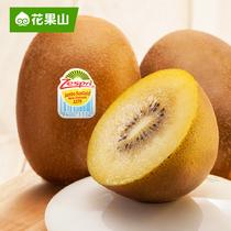 花果山佳沛18號新西蘭陽光金奇異果8個巨無霸175~204g