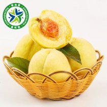 中秋季-銀加善黃桃5~6兩12只裝禮盒