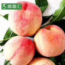 盛盈匯盛盈匯四川水蜜桃約2.5kg(12個)約2.5kg(12個)