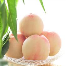 【現貨】群豐奉化水蜜桃精品桃子禮盒12個裝4.8斤2400g