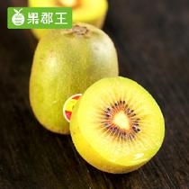 果郡王預售四川蒲江紅心奇異果獼猴桃24只裝單果70~90g8月15日開始發(fā)貨70g*24