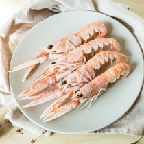 OceanJade愛爾蘭野生熟凍海鰲蝦450g海外直采