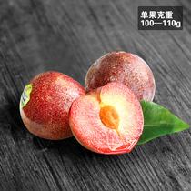 果郡王美國紅鳳凰恐龍蛋12只1.2kg單果100g左右100g*12