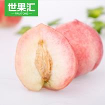 世果匯北京水蜜桃(發全國非偏遠)12個單果約150至200克