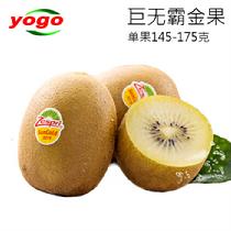 優(yōu)果優(yōu)選佳沛新西蘭陽(yáng)光金奇異果22號(hào)果原箱(單果145~175克)*22個(gè)