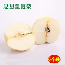 【順豐包郵】趙縣皇冠梨實惠裝6個裝