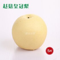 【順豐包郵】全國空運配送趙縣正宗皇冠梨5斤禮盒裝2500g