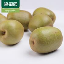 譽福園預售四川蒲江紅心獼猴桃6枚裝單果90一110g8月15日陸續發貨6枚