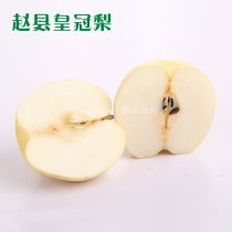 趙縣皇冠梨30斤裝15KG