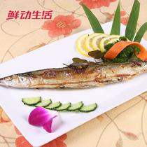 鮮動生活海鮮燒烤常備食材秋刀魚500*3
