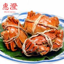 惠澄陽澄湖大閘蟹鮮活實物實惠純母蟹10只禮盒裝(預計9月24日左右開始發貨)母蟹2.3-2.6兩10只