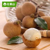 花果山泰國龍眼新鮮龍眼2斤裝1kg