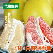 【預(yù)售】鴛鴦柚9月5日發(fā)貨優(yōu)果優(yōu)民正宗平和琯溪蜜柚1紅1白2顆裝2300~2500g