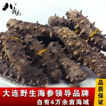 八鮮島淡干海參盒裝特價(jià))10頭/45g