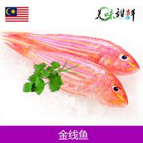 豐菜堂馬來西亞金線魚.500g*2袋