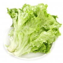 綠還園奶油生菜250g