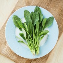 小湯山菠菜苗200g