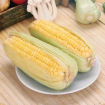 綠還園鮮玉米550g