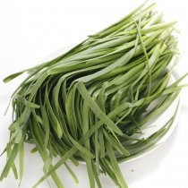 綠還園韭菜250g