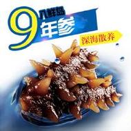 八鮮島原凍力即食海參9年參500g