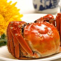 【預售】群豐陽澄湖大閘蟹經典C型5對禮盒裝9月24號發貨公3.5~3.9兩母2.5~2.9兩5對