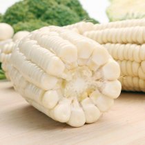 綠還園粘玉米500g