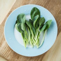 小湯山油菜苗200g