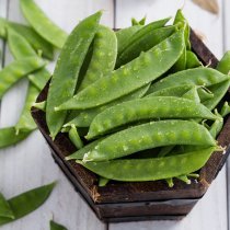 小湯山荷蘭豆200g