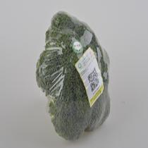 沁州綠有機蔬菜西蘭花500g