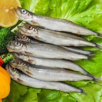獐子島獐子島生凍多春魚8袋(冰島進口)1280g