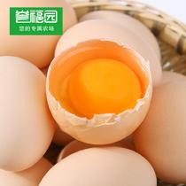 譽福園橘園林下散養土雞蛋1600g(40枚裝)1600g