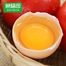 譽福園橘園林下散養土雞蛋800g(20枚裝)800g