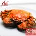 今旺陽澄湖大閘蟹實物夢幻之星精致禮盒4對(預計9月23日以后發(fā)貨)公4.6-4.9兩；母3.3-3.6兩