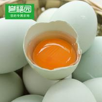譽(yù)福園橘園散養(yǎng)綠殼翡翠蛋800g(20枚裝)800g
