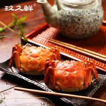 玖久鮮陽澄湖大閘蟹實(shí)物優(yōu)享夢家精致禮盒3對(預(yù)計(jì)9月23號左右發(fā)貨公4.1-4.5兩；母2.8-3.1兩