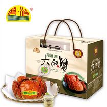 碧波陽澄湖大閘蟹鮮活實物禮盒貴賓8只裝預計9月24號之后發貨)4對公蟹4.5-4.2母蟹3.5-3兩