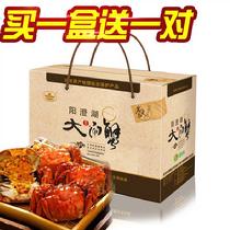 陽澄之島陽澄湖大閘蟹鮮活實(shí)物禮盒1066型買1盒送1對(duì)4對(duì)預(yù)計(jì)9月24號(hào)之后發(fā)貨)公蟹3.6-3.2母蟹2.6-2.2兩