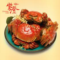 紫澄陽澄湖大閘蟹實物尊享5對鮮活禮盒裝(預計9月24日左右開始發貨)公4.0-4.4兩母蟹3.0-3.2兩