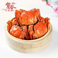 紫澄陽澄湖大閘蟹實物超值4對鮮活禮盒裝(預(yù)計9月24日左右開始發(fā)貨)公3.2-3.5兩母2.2-2.5兩