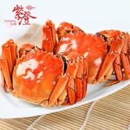 紫澄陽澄湖大閘蟹實物尊享3對鮮活禮盒裝(預(yù)計9月24日左右開始發(fā)貨)公4.0-4.4兩母3.0-3.2兩
