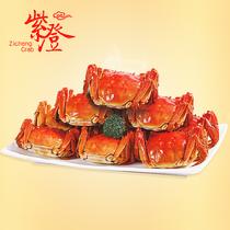 紫澄陽(yáng)澄湖大閘蟹實(shí)物尊享純母蟹8只鮮活禮盒裝(預(yù)計(jì)9月24日左右開(kāi)始發(fā)貨)母蟹2.7-3.0兩8只
