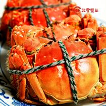 澄耀【預售】陽澄湖大閘蟹實物精選3對裝預計9月24號之后發貨)公3.1至3.5兩；母2.1至2.5兩