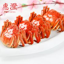 惠澄陽(yáng)澄湖大閘蟹鮮活實(shí)物精致純母蟹8只禮盒裝(預(yù)計(jì)9月24日左右開(kāi)始發(fā)貨)母蟹2.5-2.8兩8只