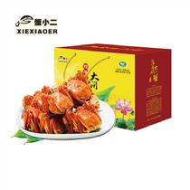 蟹小二陽澄湖大閘蟹實物758型禮盒4對裝(預計9月24日左右開始發貨)公3.2-3.4母2.2-2.44對